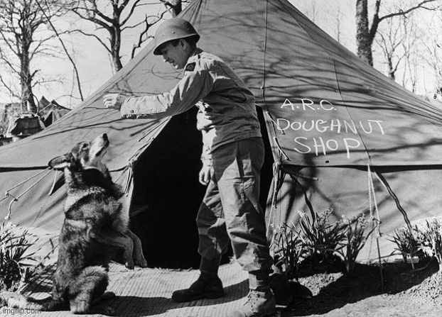 Chips (dog) with a US soldier | image tagged in ww2 | made w/ Imgflip meme maker