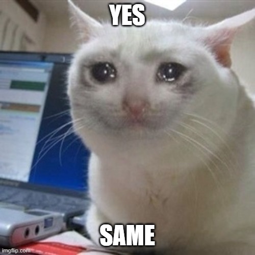 YES SAME | image tagged in crying cat | made w/ Imgflip meme maker