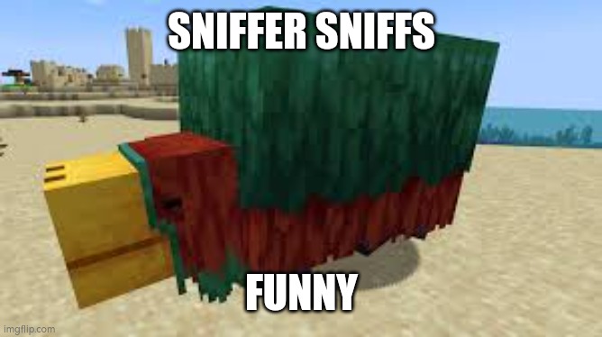 Sniffer sniffs funny | SNIFFER SNIFFS; FUNNY | image tagged in funny | made w/ Imgflip meme maker