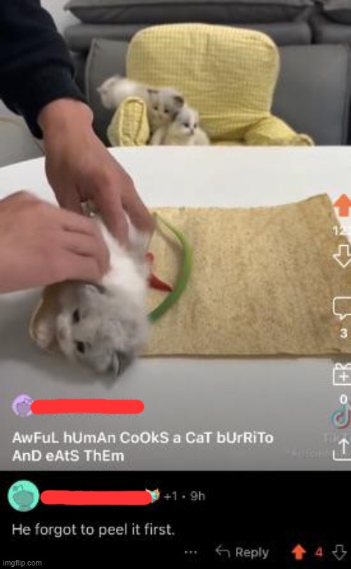 cursed_burrito | image tagged in cursed,comments,funny | made w/ Imgflip meme maker