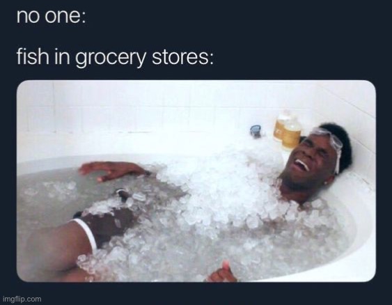 image tagged in memes,funny | made w/ Imgflip meme maker