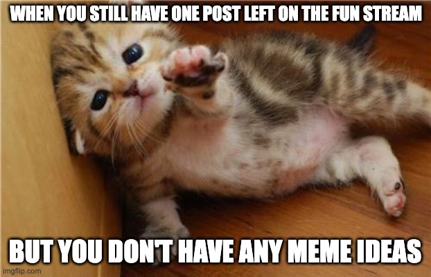 Help me... | WHEN YOU STILL HAVE ONE POST LEFT ON THE FUN STREAM; BUT YOU DON'T HAVE ANY MEME IDEAS | image tagged in help me kitten | made w/ Imgflip meme maker