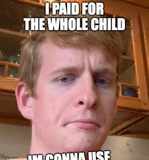 n | I PAID FOR THE WHOLE CHILD; IM GONNA USE THE WHOLE CHILD | image tagged in thp | made w/ Imgflip meme maker