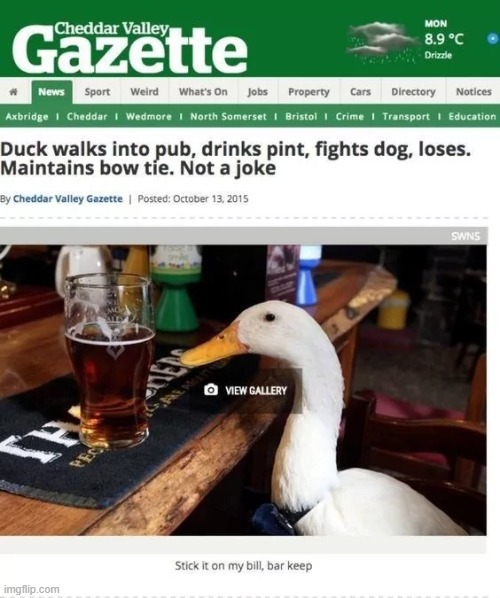image tagged in ducks | made w/ Imgflip meme maker