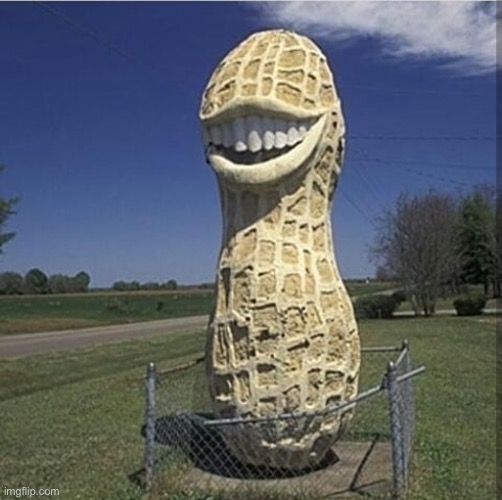 948 | image tagged in peanut,cursed image,cursed,funny,teeth,scary | made w/ Imgflip meme maker
