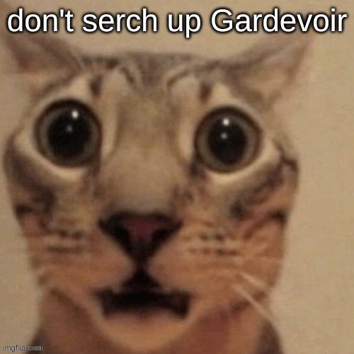 in shock | don't serch up Gardevoir | image tagged in in shock | made w/ Imgflip meme maker
