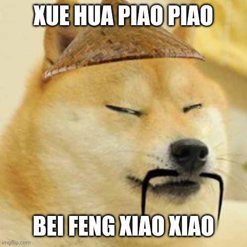 asian doge | XUE HUA PIAO PIAO BEI FENG XIAO XIAO | image tagged in asian doge | made w/ Imgflip meme maker