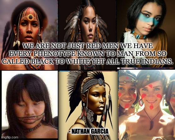 WE ARE NOT JUST RED MEN WE HAVE EVERY PHENOTYPE KNOWN TO MAN FROM SO CALLED BLACK TO WHITE YET ALL TRUE INDIANS. - NATHAN GARCIA | image tagged in history | made w/ Imgflip meme maker