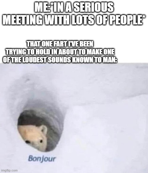 i hate this | ME:*IN A SERIOUS MEETING WITH LOTS OF PEOPLE*; THAT ONE FART I'VE BEEN TRYING TO HOLD IN ABOUT TO MAKE ONE OF THE LOUDEST SOUNDS KNOWN TO MAN: | image tagged in bonjour | made w/ Imgflip meme maker