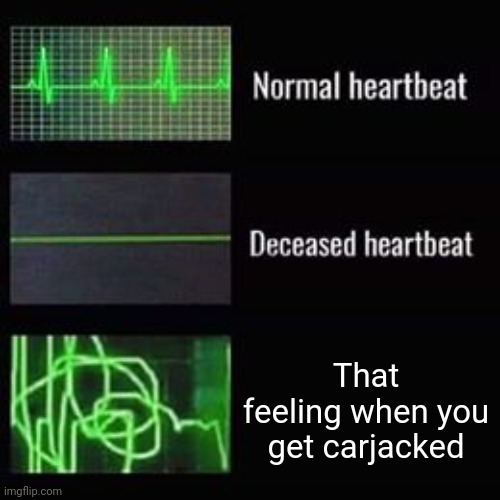 Carjacked | That feeling when you get carjacked | image tagged in heartbeat rate,carjacked,car,cars,memes,meme | made w/ Imgflip meme maker