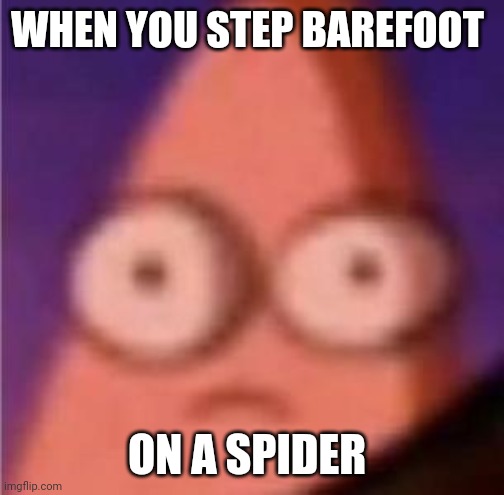 When you step on a spider | WHEN YOU STEP BAREFOOT; ON A SPIDER | image tagged in eyes wide patrick | made w/ Imgflip meme maker