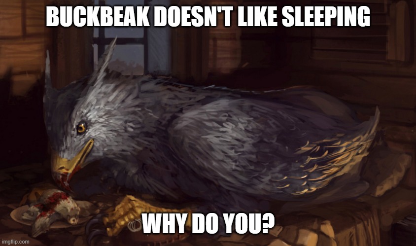 Buckbeak | BUCKBEAK DOESN'T LIKE SLEEPING; WHY DO YOU? | image tagged in buckbeak | made w/ Imgflip meme maker
