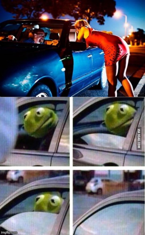 Kermit wants out | image tagged in world's oldest profession,kermit driving,oh no | made w/ Imgflip meme maker