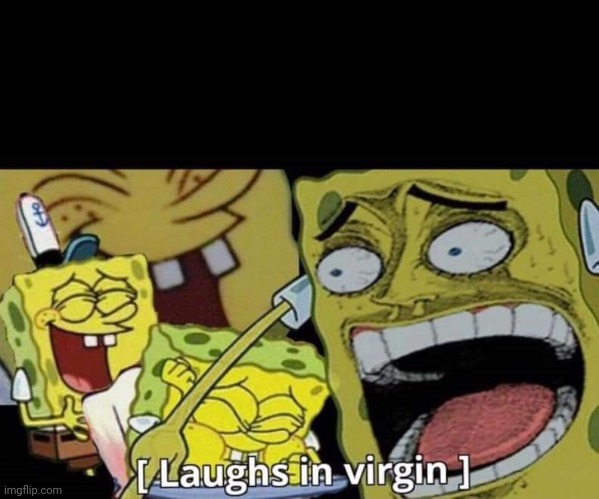 Laughs in virgin | image tagged in laughs in virgin | made w/ Imgflip meme maker