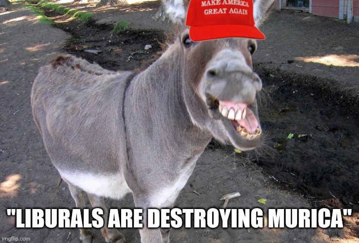 MAGA ASS | "LIBURALS ARE DESTROYING MURICA" | image tagged in maga ass | made w/ Imgflip meme maker