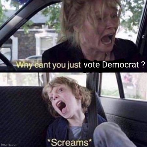 When a liberal's kid comes out as conservative | vote Democrat ? | image tagged in why can't you just be normal,liberals,democrats,republicans,conservatives,coming out | made w/ Imgflip meme maker