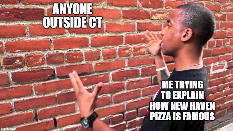 New Haven Pizza in CT is World Famous | ANYONE OUTSIDE CT; ME TRYING TO EXPLAIN HOW NEW HAVEN PIZZA IS FAMOUS | image tagged in talking to wall | made w/ Imgflip meme maker