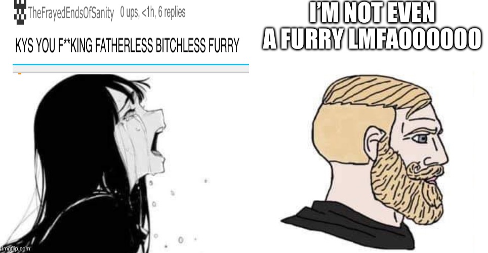 babe please | I’M NOT EVEN A FURRY LMFAOOOOOO | image tagged in babe please | made w/ Imgflip meme maker