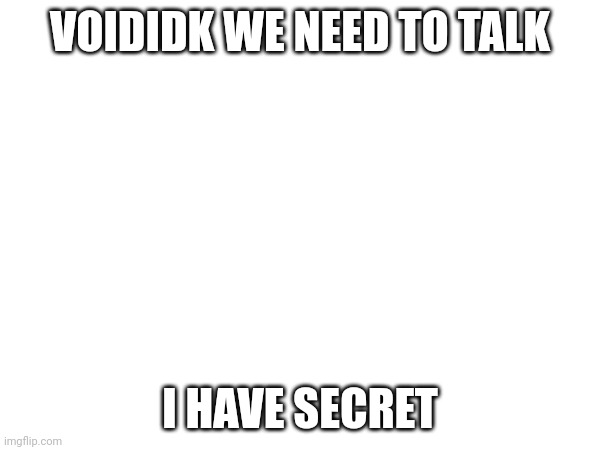 Plz | VOIDIDK WE NEED TO TALK; I HAVE SECRET | image tagged in nooooooooo | made w/ Imgflip meme maker