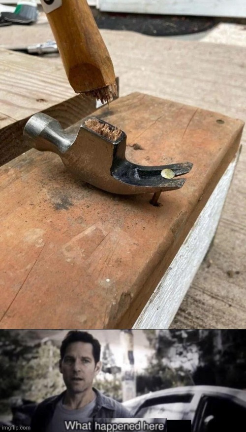 Hammer fail | image tagged in what happened here,hammer,hammers,you had one job,memes | made w/ Imgflip meme maker