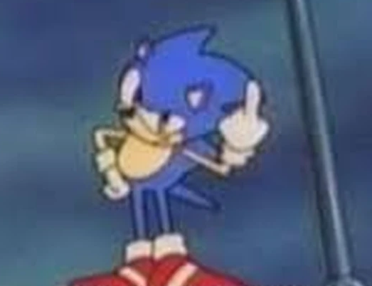 sonic supposedly flipping you off Blank Meme Template