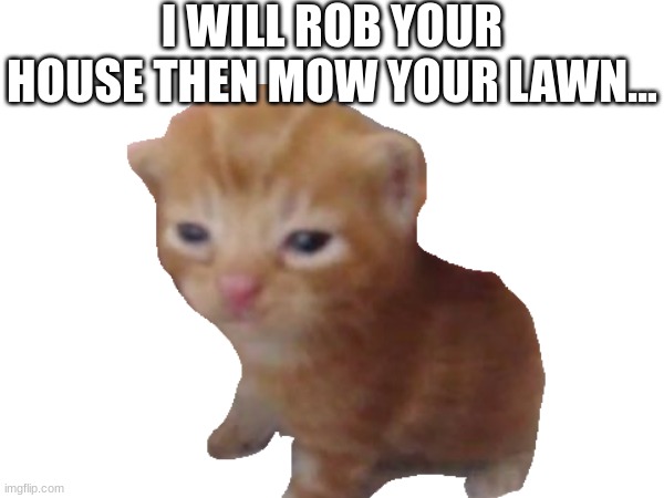 I WILL ROB YOUR HOUSE THEN MOW YOUR LAWN... | made w/ Imgflip meme maker