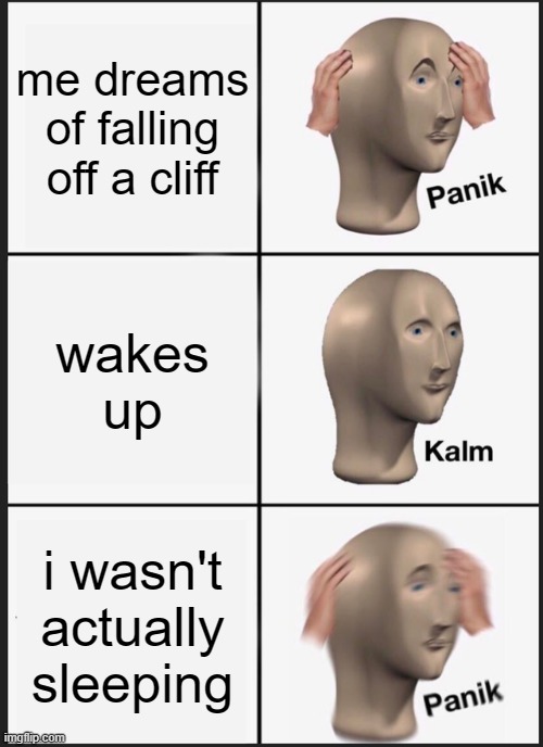 bruh- | me dreams of falling off a cliff; wakes up; i wasn't actually sleeping | image tagged in memes,panik kalm panik | made w/ Imgflip meme maker