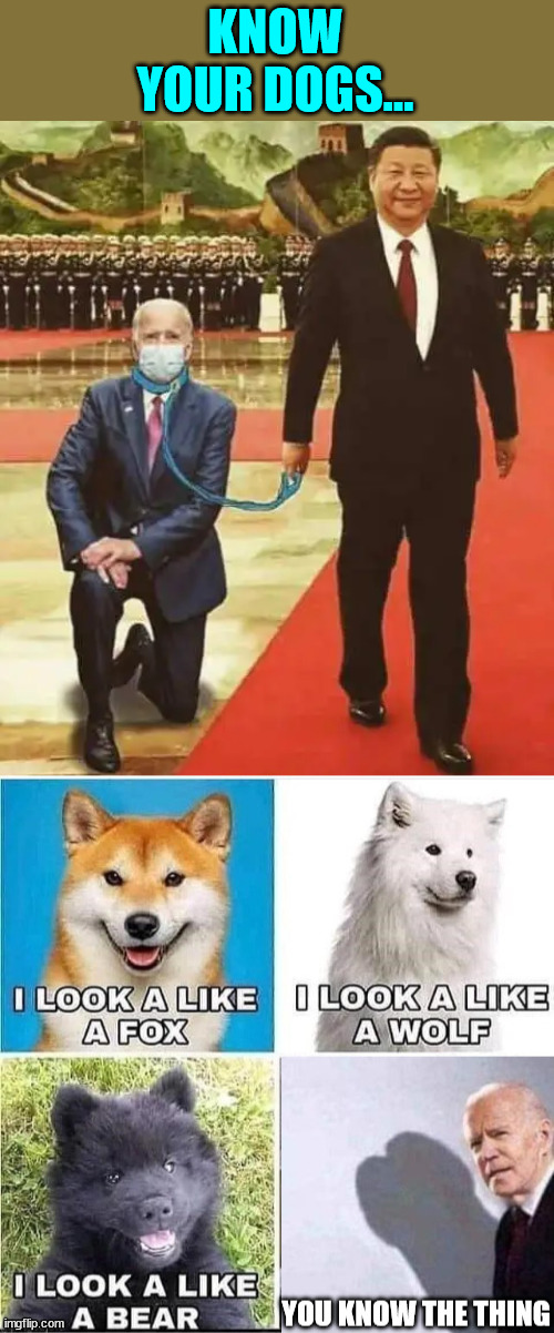 All kinds of dogs... | KNOW YOUR DOGS... | image tagged in different,dogs,biden,dickhead | made w/ Imgflip meme maker