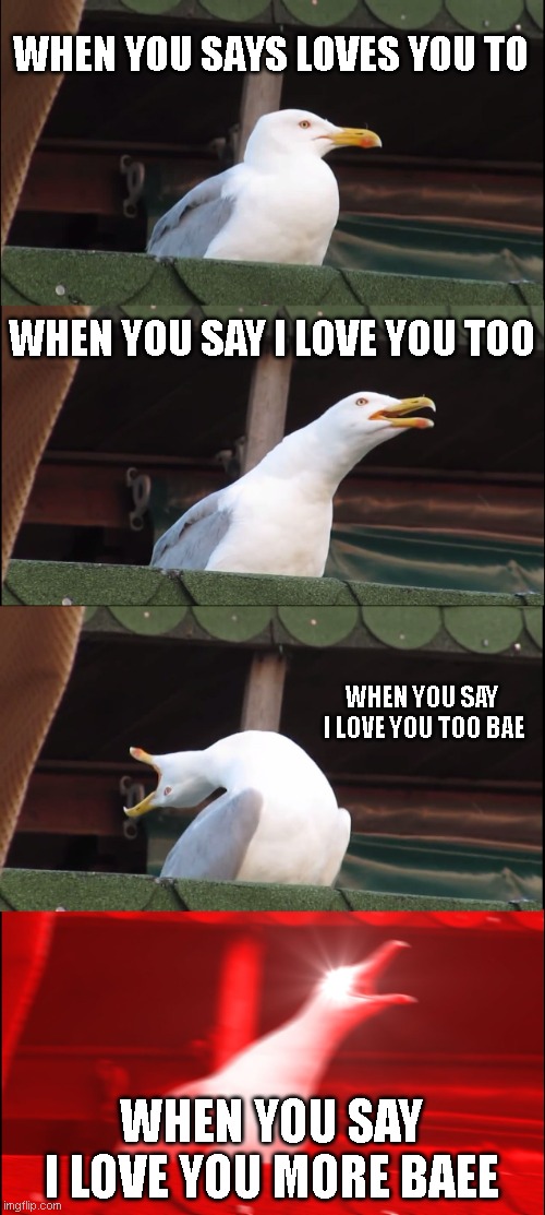 when she say i love you | WHEN YOU SAYS LOVES YOU TO; WHEN YOU SAY I LOVE YOU TOO; WHEN YOU SAY  I LOVE YOU TOO BAE; WHEN YOU SAY I LOVE YOU MORE BAEE | image tagged in memes,inhaling seagull | made w/ Imgflip meme maker