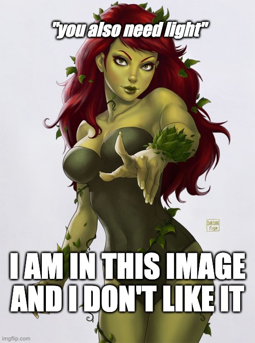 you also need light | "you also need light"; I AM IN THIS IMAGE
AND I DON'T LIKE IT | image tagged in poison ivy | made w/ Imgflip meme maker