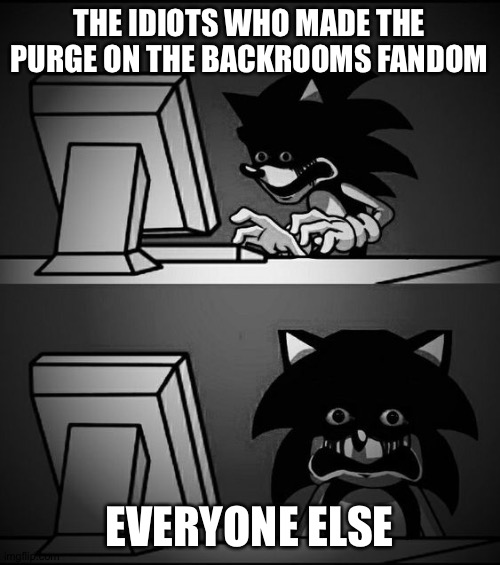 Sonic Computer | THE IDIOTS WHO MADE THE PURGE ON THE BACKROOMS FANDOM; EVERYONE ELSE | image tagged in sonic computer | made w/ Imgflip meme maker