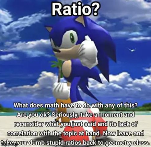 sa2 ratio | image tagged in sa2 ratio | made w/ Imgflip meme maker