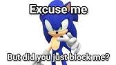 High Quality sonic did you just block me Blank Meme Template