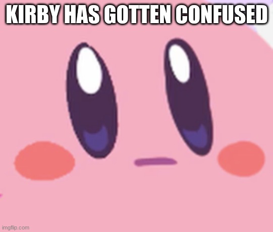 Blank Kirby Face | KIRBY HAS GOTTEN CONFUSED | image tagged in blank kirby face | made w/ Imgflip meme maker