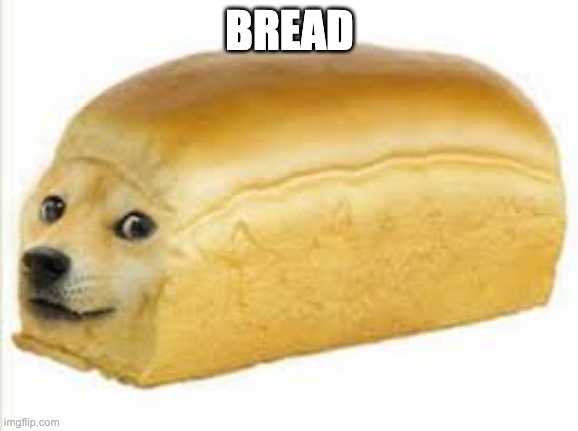 Proof that people will upvote anything. | BREAD | image tagged in doge bread | made w/ Imgflip meme maker