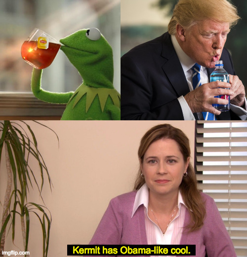 The RNC needs you to find the differences between these two candidates. | Kermit has Obama-like cool. | image tagged in memes,but that's none of my business,they're the same picture | made w/ Imgflip meme maker