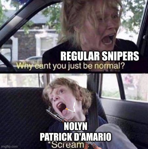 Hmm Yes | REGULAR SNIPERS; NOLYN PATRICK D'AMARIO | image tagged in why can't you just be normal | made w/ Imgflip meme maker