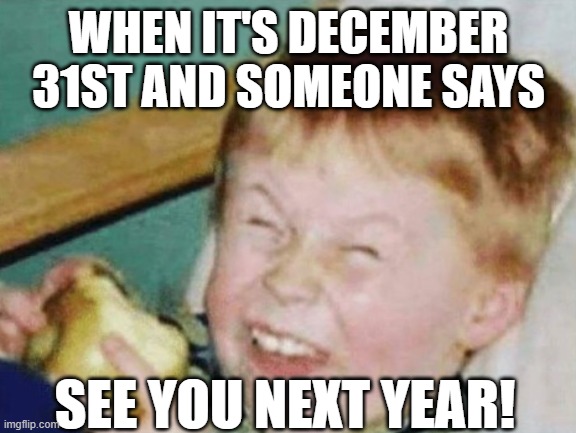 New Year's | WHEN IT'S DECEMBER 31ST AND SOMEONE SAYS; SEE YOU NEXT YEAR! | image tagged in happy new year,there's always 1 | made w/ Imgflip meme maker