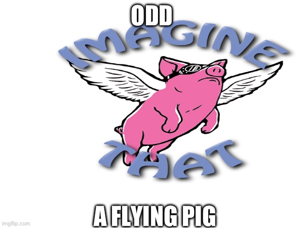 ODD; A FLYING PIG | made w/ Imgflip meme maker