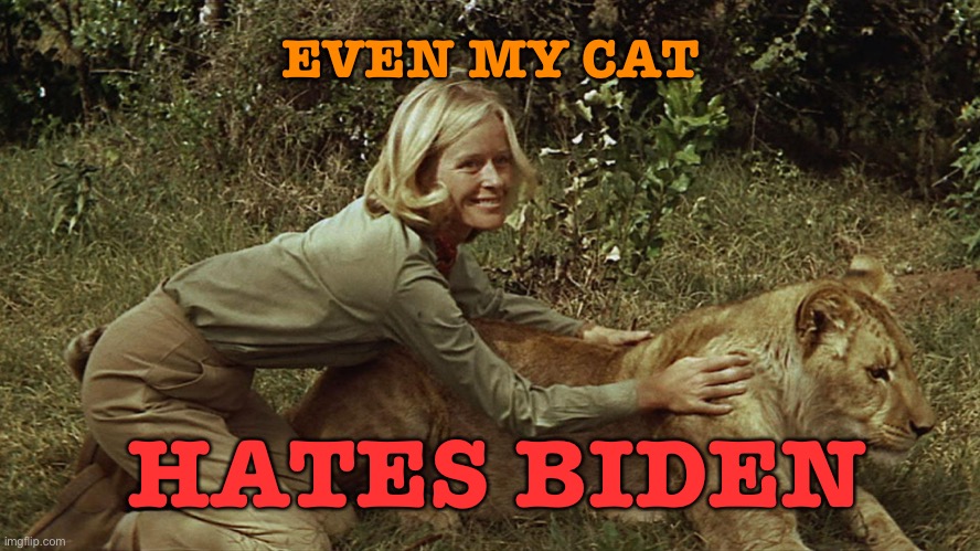 Even My Cat Hates Biden | EVEN MY CAT; HATES BIDEN | image tagged in born free | made w/ Imgflip meme maker