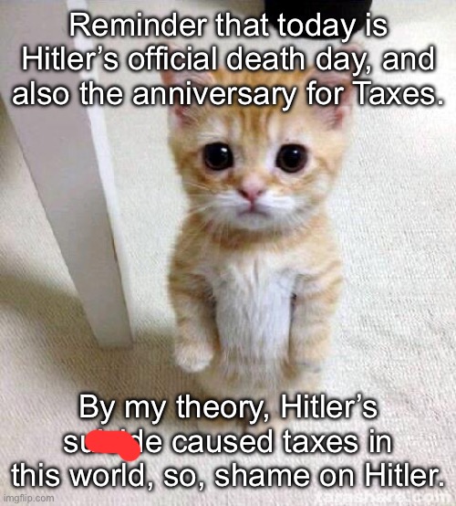 “I don’t want to see this country lose!” *kills self and watches country lose as a ghost* | Reminder that today is Hitler’s official death day, and also the anniversary for Taxes. By my theory, Hitler’s suicide caused taxes in this world, so, shame on Hitler. | image tagged in memes,cute cat,balls | made w/ Imgflip meme maker