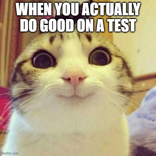 happi | WHEN YOU ACTUALLY DO GOOD ON A TEST | image tagged in memes,smiling cat | made w/ Imgflip meme maker