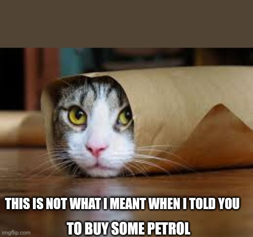 Funny animals | THIS IS NOT WHAT I MEANT WHEN I TOLD YOU; TO BUY SOME PETROL | image tagged in funny animals | made w/ Imgflip meme maker