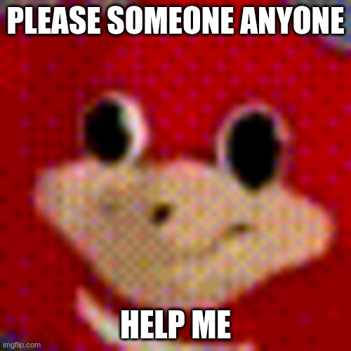 agony agony despair | PLEASE SOMEONE ANYONE; HELP ME | image tagged in ugandan knuckles stare | made w/ Imgflip meme maker