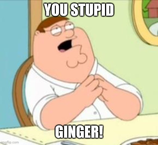 Perhaps Peter Griffin | YOU STUPID GINGER! | image tagged in perhaps peter griffin | made w/ Imgflip meme maker