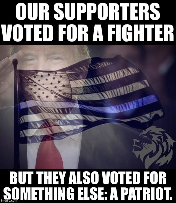 BUT THEY ALSO VOTED FOR SOMETHING ELSE: A PATRIOT. | made w/ Imgflip meme maker