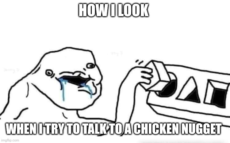 I can talk to chicken nuggets | HOW I LOOK; WHEN I TRY TO TALK TO A CHICKEN NUGGET | image tagged in stupid dumb drooling puzzle | made w/ Imgflip meme maker