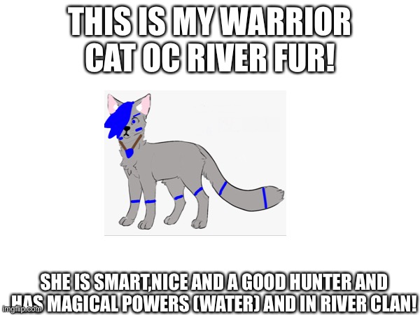 Please don’t bully me :( | THIS IS MY WARRIOR CAT OC RIVER FUR! SHE IS SMART,NICE AND A GOOD HUNTER AND HAS MAGICAL POWERS (WATER) AND IN RIVER CLAN! | made w/ Imgflip meme maker