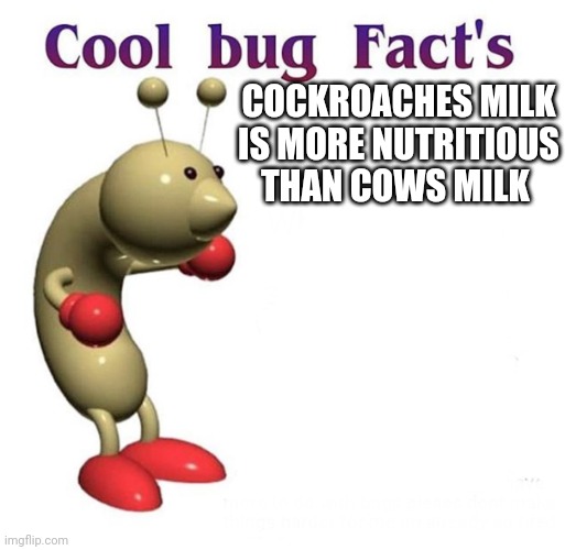 Cool Bug Facts | COCKROACHES MILK IS MORE NUTRITIOUS THAN COWS MILK | image tagged in cool bug facts | made w/ Imgflip meme maker