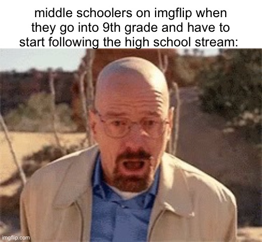 highschool stream where | middle schoolers on imgflip when they go into 9th grade and have to start following the high school stream: | image tagged in walter white,middle school,memes,funny,high school | made w/ Imgflip meme maker